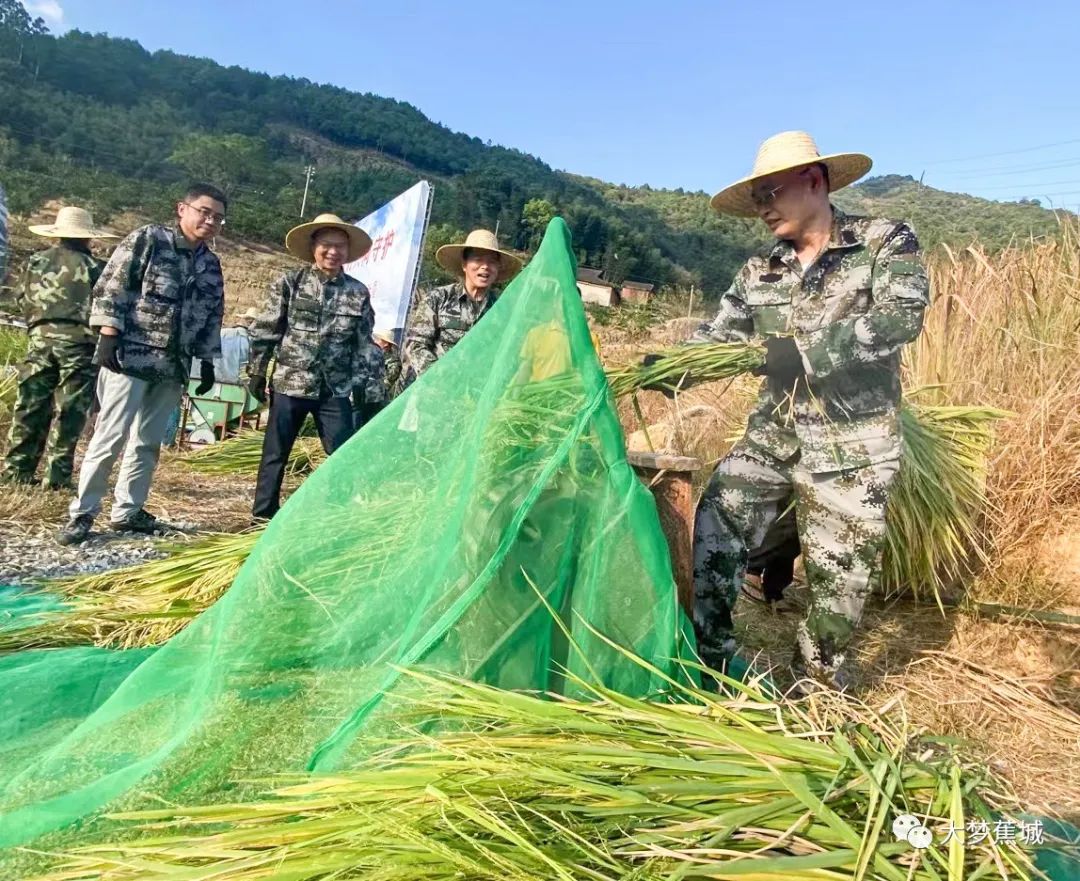 备赛国家队精修关怀，战石宣言雄步挥镰